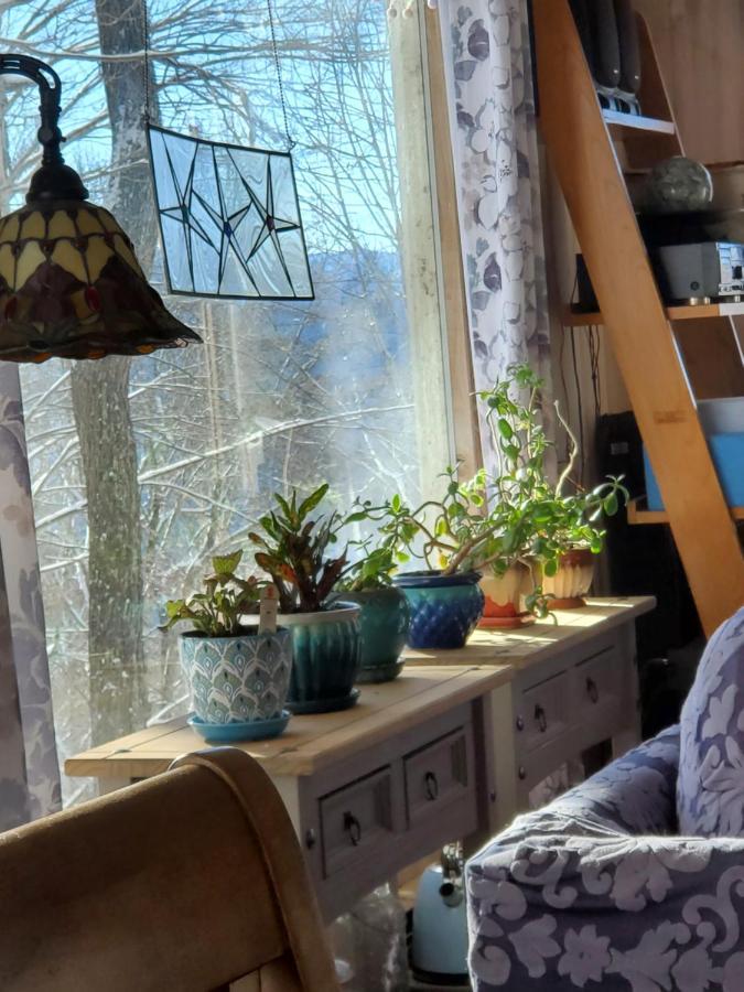 Treehouse Cathedral In Blue Ridge Mountains, Nc Villa Burnsville Dış mekan fotoğraf