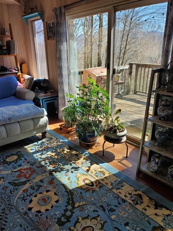 Treehouse Cathedral In Blue Ridge Mountains, Nc Villa Burnsville Dış mekan fotoğraf
